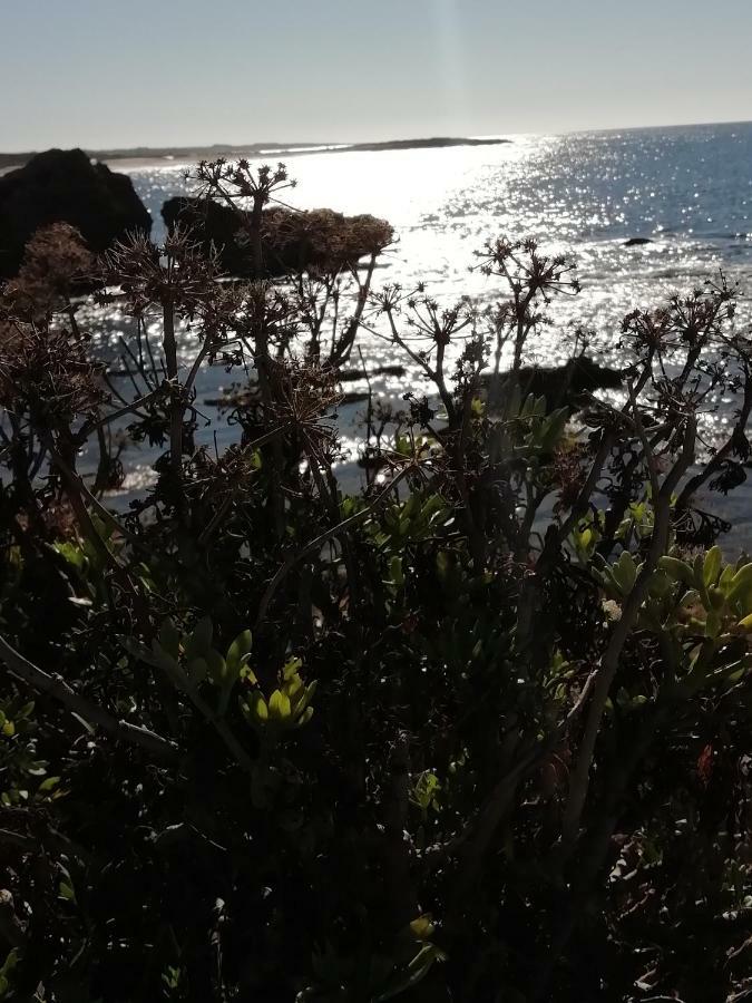 Sardinia For You Oristano Exterior foto